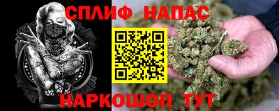 ешки Будённовск