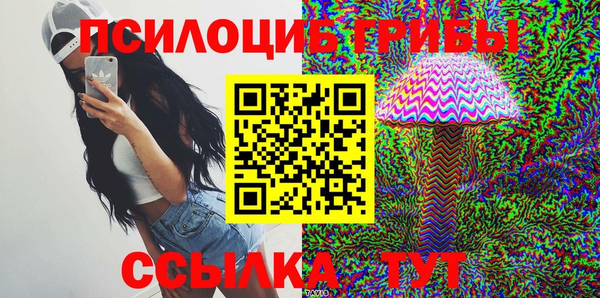Псилоцибиновые грибы мицелий  где можно купить наркотик  Новокуйбышевск  Вход с VPN 
